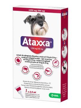 ATAXXA 1 PIP X 2,5ML1250MG/250MG PSY 10-25KG