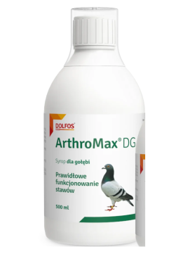 ARTHROMAX DG 500ML