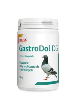 GASTRODOL DG 300 G
