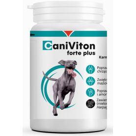 CANIVITON-FORTE-PLUS-90-TABL.
