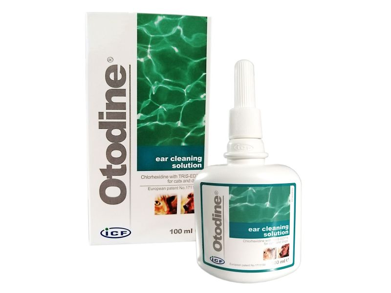 OTODINE 100 ML